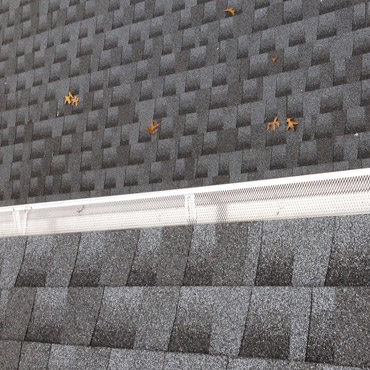 New roof, seamless gutters, and aluminum screens installed by top roofing and gutters contractors Riga Home Pro in Monroe, CT